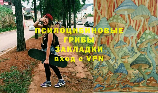 круглые Карпинск