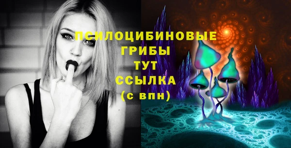 мескалин Касимов