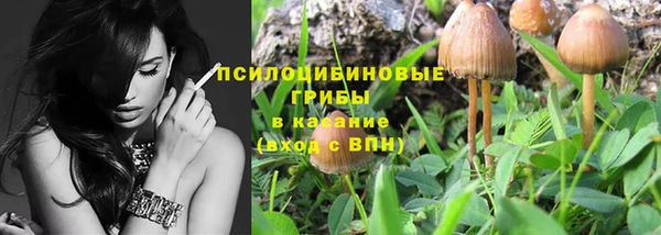 круглые Карпинск