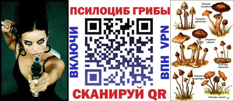 Псилоцибиновые грибы мухоморы  Купить где  Володарск 