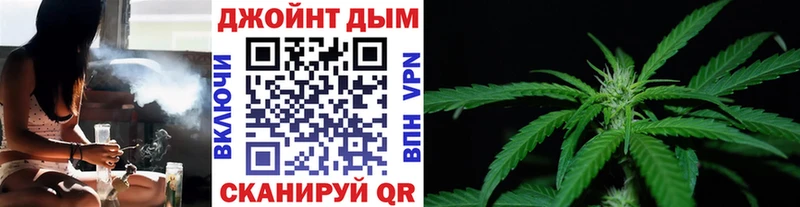 Марихуана сатива  Купить закладки  Володарск 